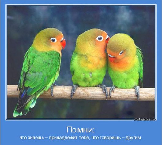 Разговоры