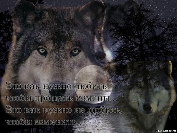 image (56)