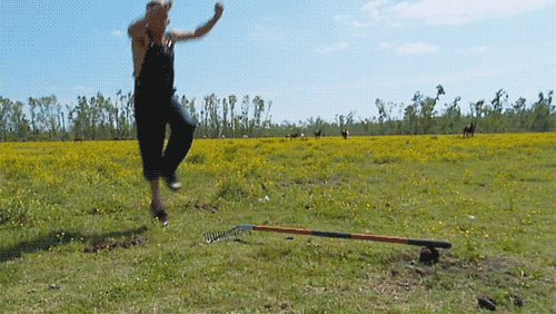 Дебил и Грабли