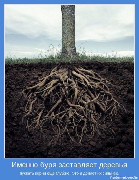 Именно буря...