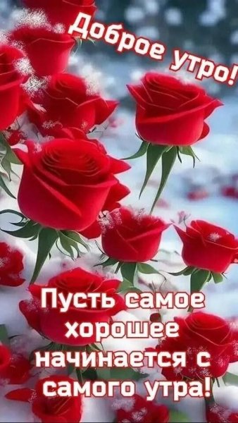 IMG 20251217 141149