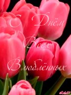 file_38782121