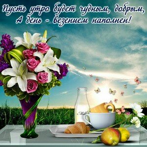 IMG 20181111 194536 030