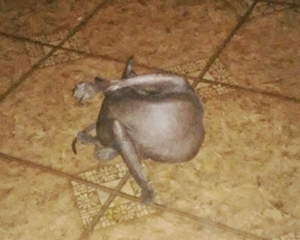 буква зю ))))