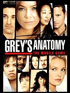 Grays Anatomy