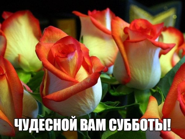 Pu da3ixdb8