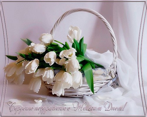 c9920a51a2d6bcc1e5e840d617cb4bc2