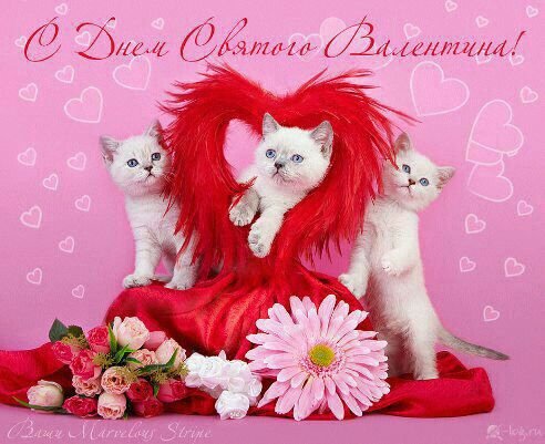 С днём св.Валентина