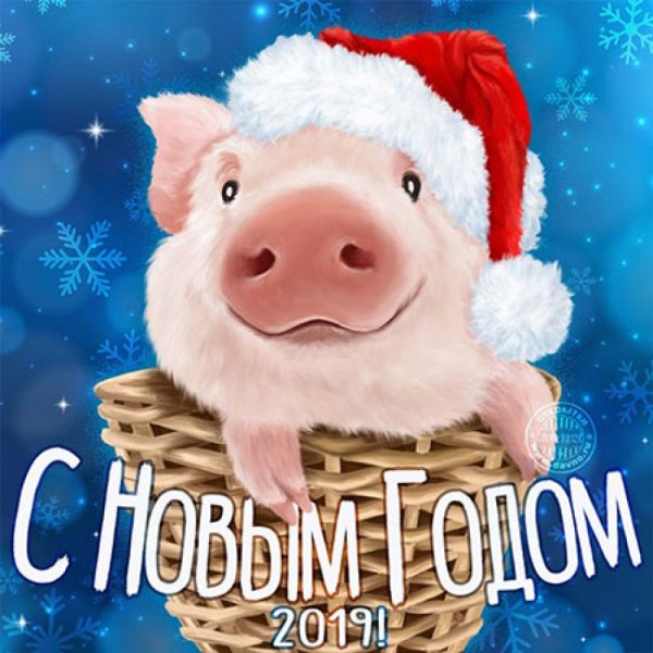 IMG-9b134ee49e7b10c61b0b3803ef78cdb3-V(26964)