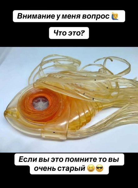 FB IMG 1775981809565