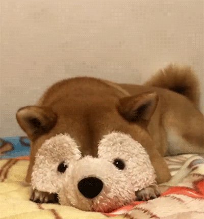смех709879070шгщзшг (1)