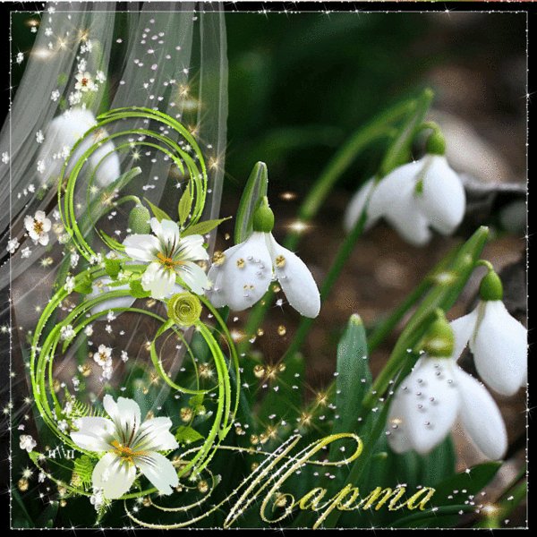 8 марта