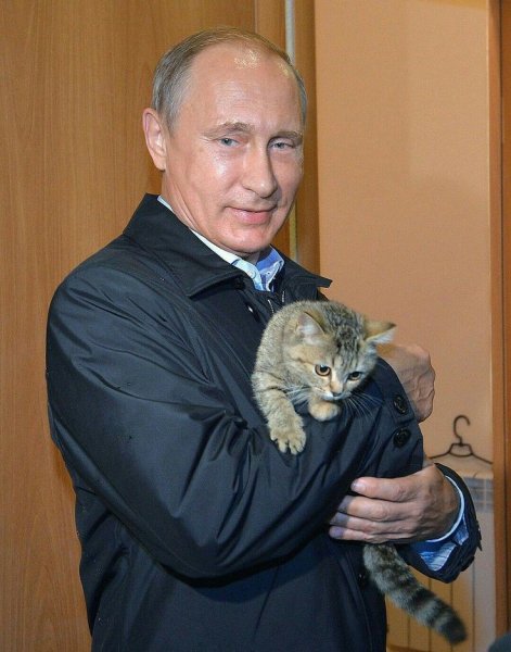 Ae3310afdaacbb75d6878ef117d0de9e