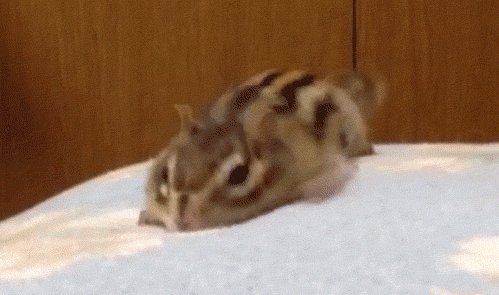 Cute
