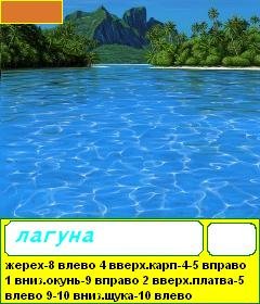 dima