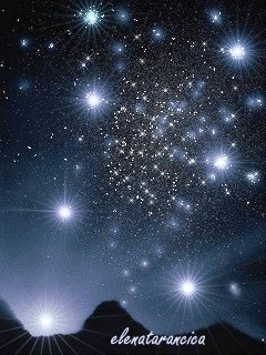 file_12579499
