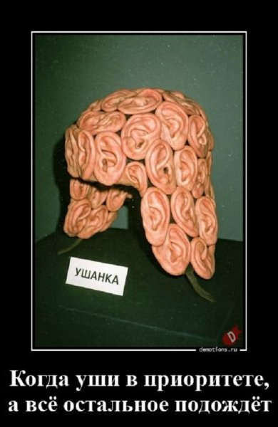 ШАПКА УШАНКА