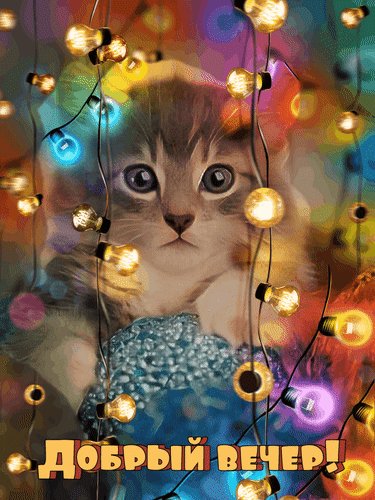 добрый вечер 084081