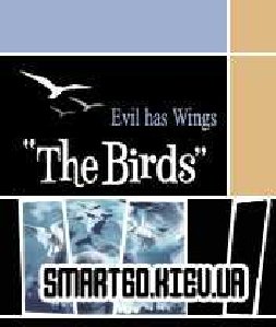 птицы-зло имеет крылья