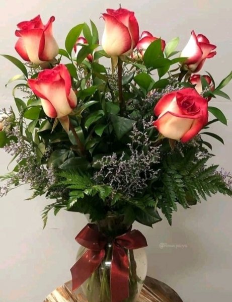 IMG 20210311 174033