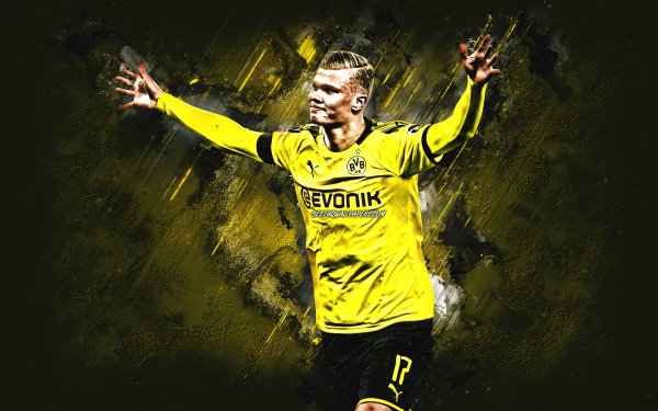erling-braut-haaland-bvb-borussia-dortmund-erling-haaland-n
