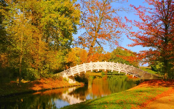 Bridges in Autumn