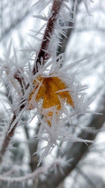 file_94936597