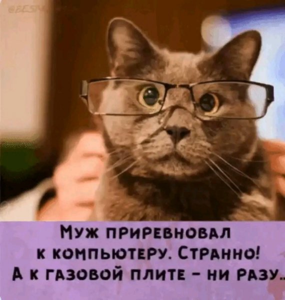 file_102526077