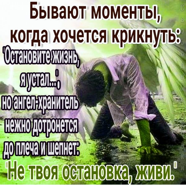 file_100887598