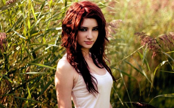 Wallpapers 4254
