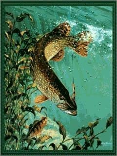 fishing of the kuban 240x320 rus