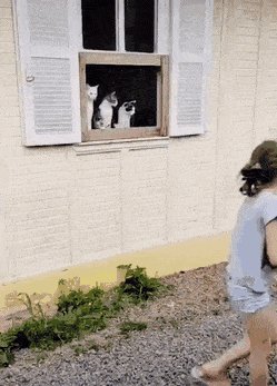 gifs 22