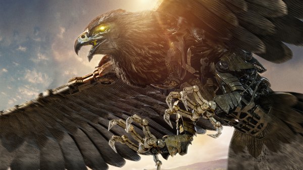 Airazor transformers rise of the beasts