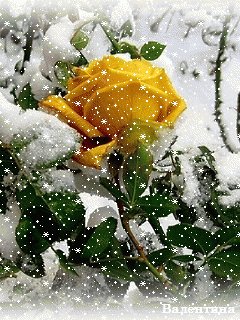 file_60272264