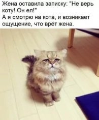 p.236.236.0