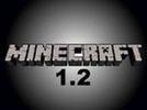 minecraft 1.2 setup rus