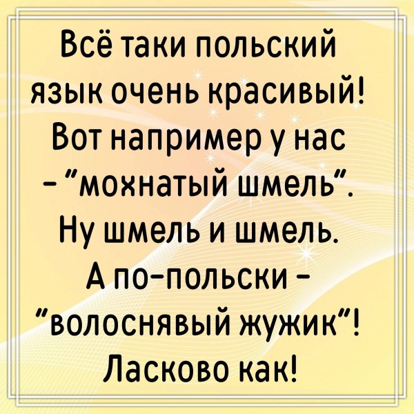 IMG 20260318 111909