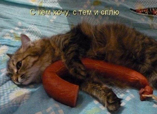 С кем хочу с тем и сплю