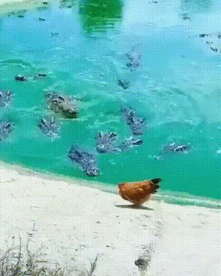 ))