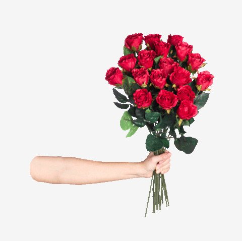 C40e4761728e4a6133c1405963689ffd