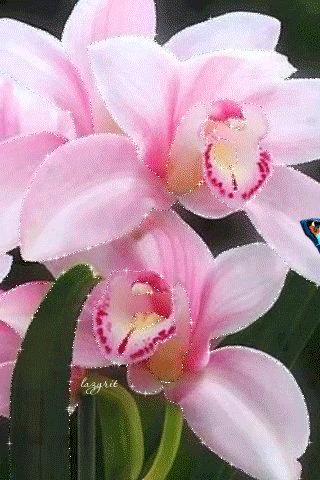 file_46564044
