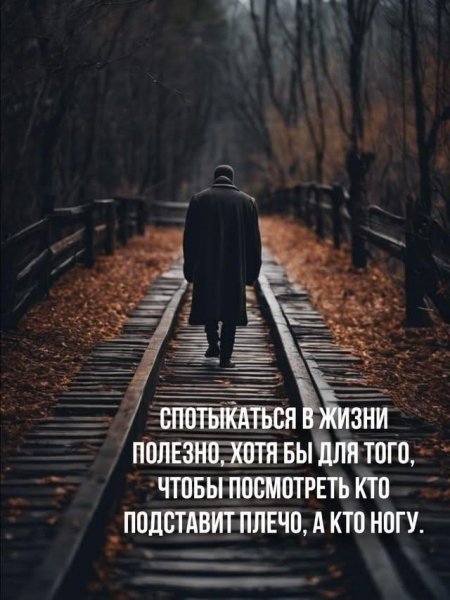Это жизнь