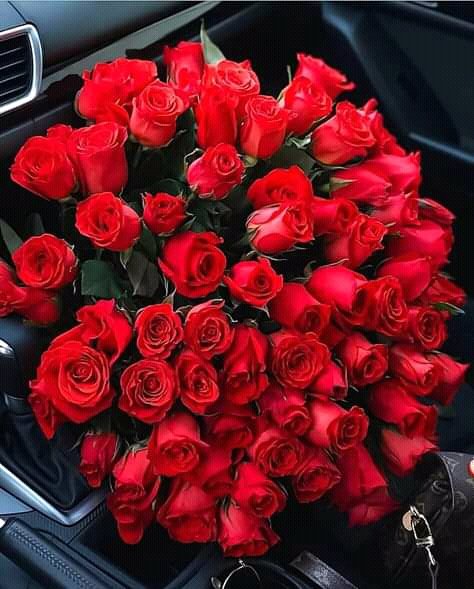 FB IMG 16028845326488610