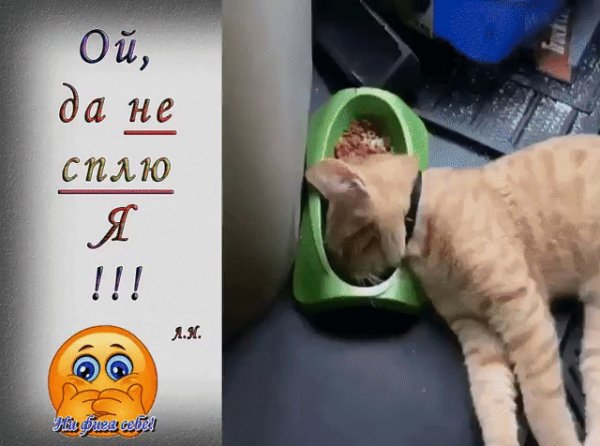 IMG 20221002 162652