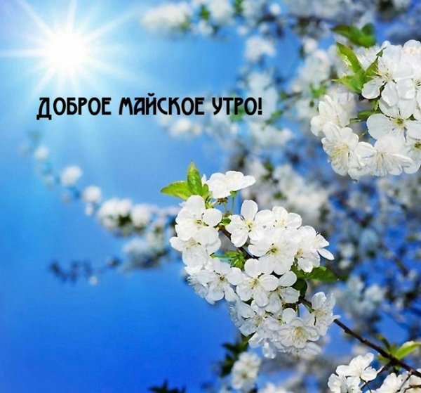 IMG-20240508-WA0011