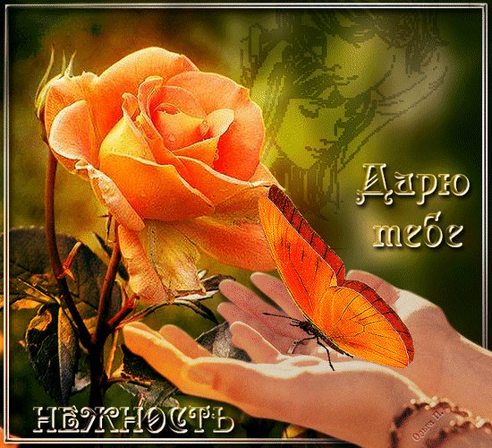 Анимированная открытка дарю тебе нежность