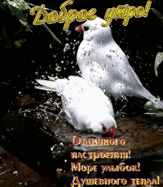 доброе утро ,красиво