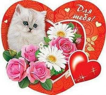 file_64741415
