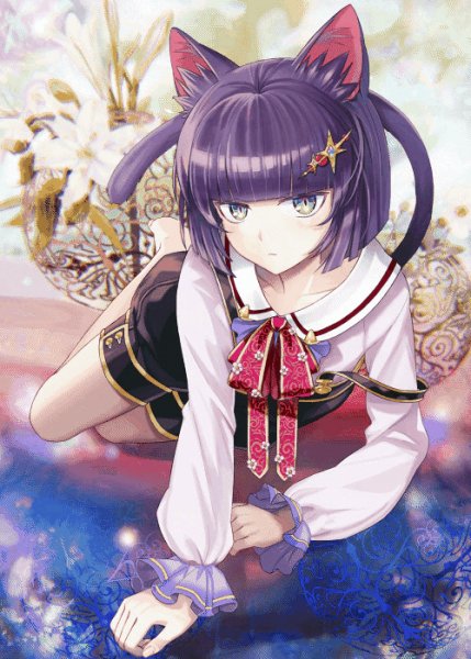 Anime Art, Animal Ears, neko