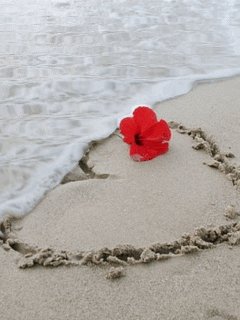 tsv19 2 35308 464984